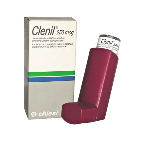 Clenil 250mcg Inhaler thumbnail 1