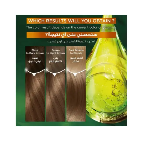 Garnier Color Naturals 6.34 Chocolate Permanent Hair Colour thumbnail 3