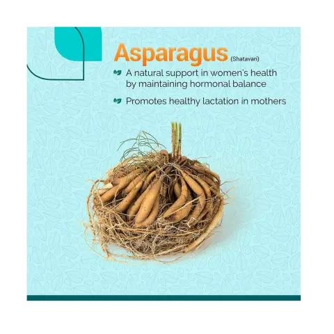 Himalaya Asparagus Shatavari Herbal Women's Health Capsules 60s thumbnail 2