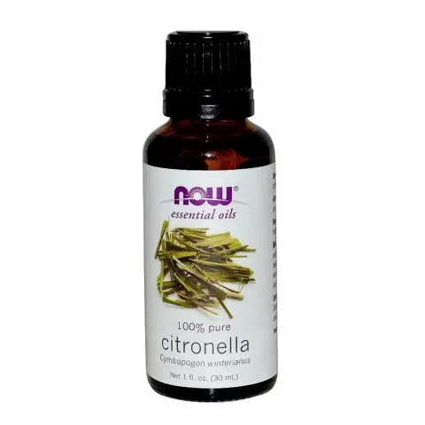 Now 100% Pure Citronella Essential Oil 30mL thumbnail 1