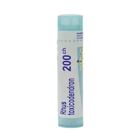 Boiron Rhus Toxicodendron 200CH