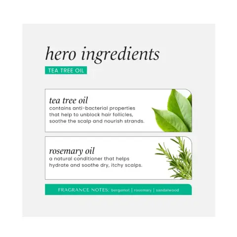 Hask Tea Tree Oil & Rosemary Conditioner 355mL thumbnail 3