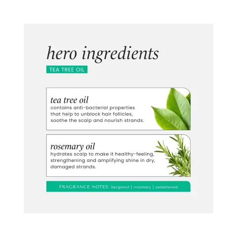 Hask Tea Tree Oil & Rosemary Shampoo 355mL thumbnail 3