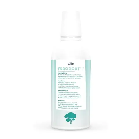 Tebodont F Mouth Rinse 500Ml thumbnail 1