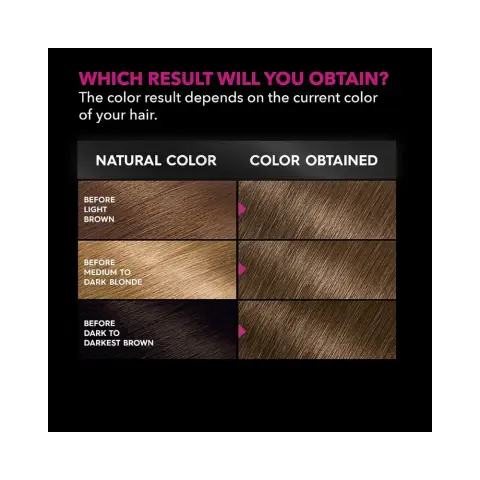 Garnier Olia 6.0 Light Brown Hair Color thumbnail 3