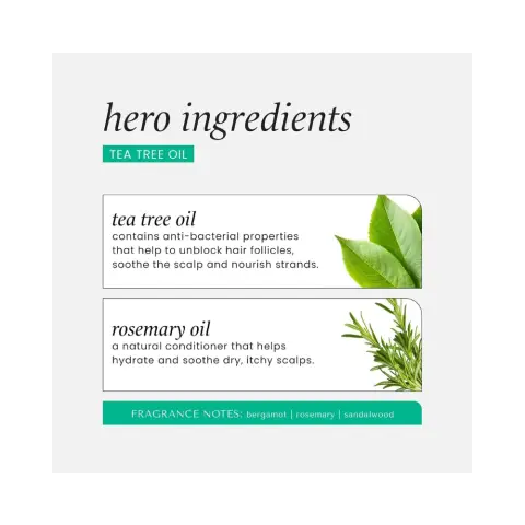 Hask Tea Tree Oil & Rosemary 5-in-1 Leave-In Spray 175mL thumbnail 3