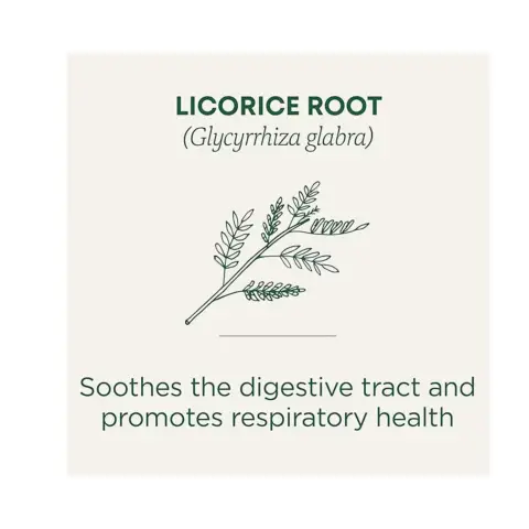 Traditional Medicinals Organic Licorice Root Herbal Tea Bags 16s thumbnail 3