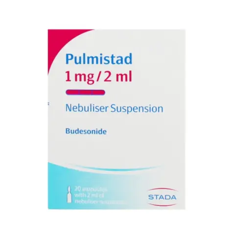 Pulmistad 1Mg 2mL thumbnail 1