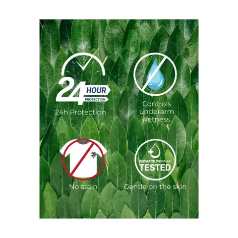 Wolf Series Fresh Deodorant Roll-On B1G1 thumbnail 2