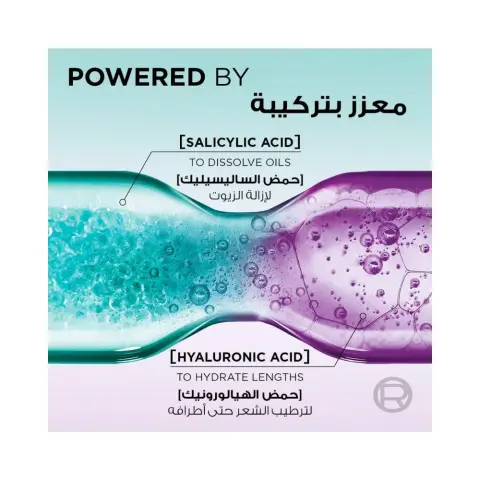 L'Oreal Elvive Hyalu 72H Purifying Shampoo 400mL thumbnail 3