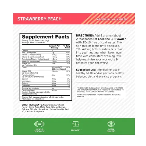 Optimum Nutrition Creatine Strawberry Peach Dietary Supplement 360g thumbnail 2
