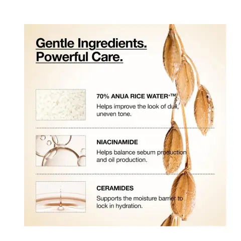 Anua 70+ Rice + Ceramide Glow Milky Toner 250ml thumbnail 4